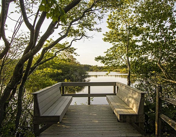 Bats at Dusk – Guided Hike